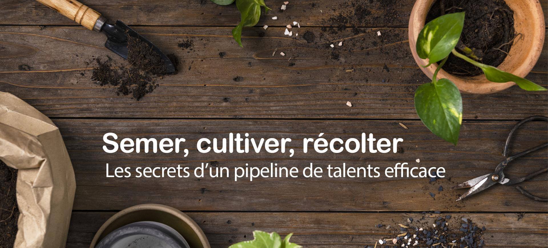 Semer, cultiver, récolter : Les secrets d’un pipeline de talents efficace
